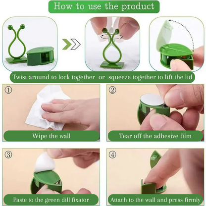 stem holder instructions