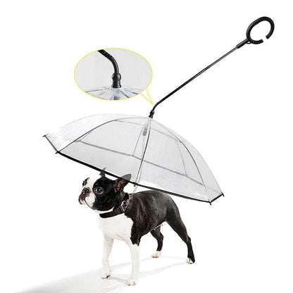 "Transparent Pet Dog Umbrella – Adjustable C-Type Handle with Leash for Rainy Walks"